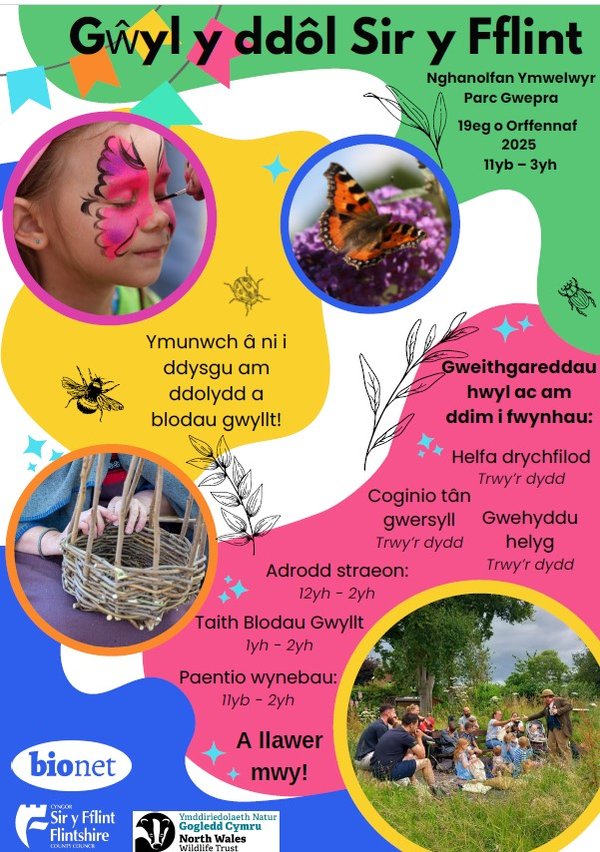 Meadowfest Cym