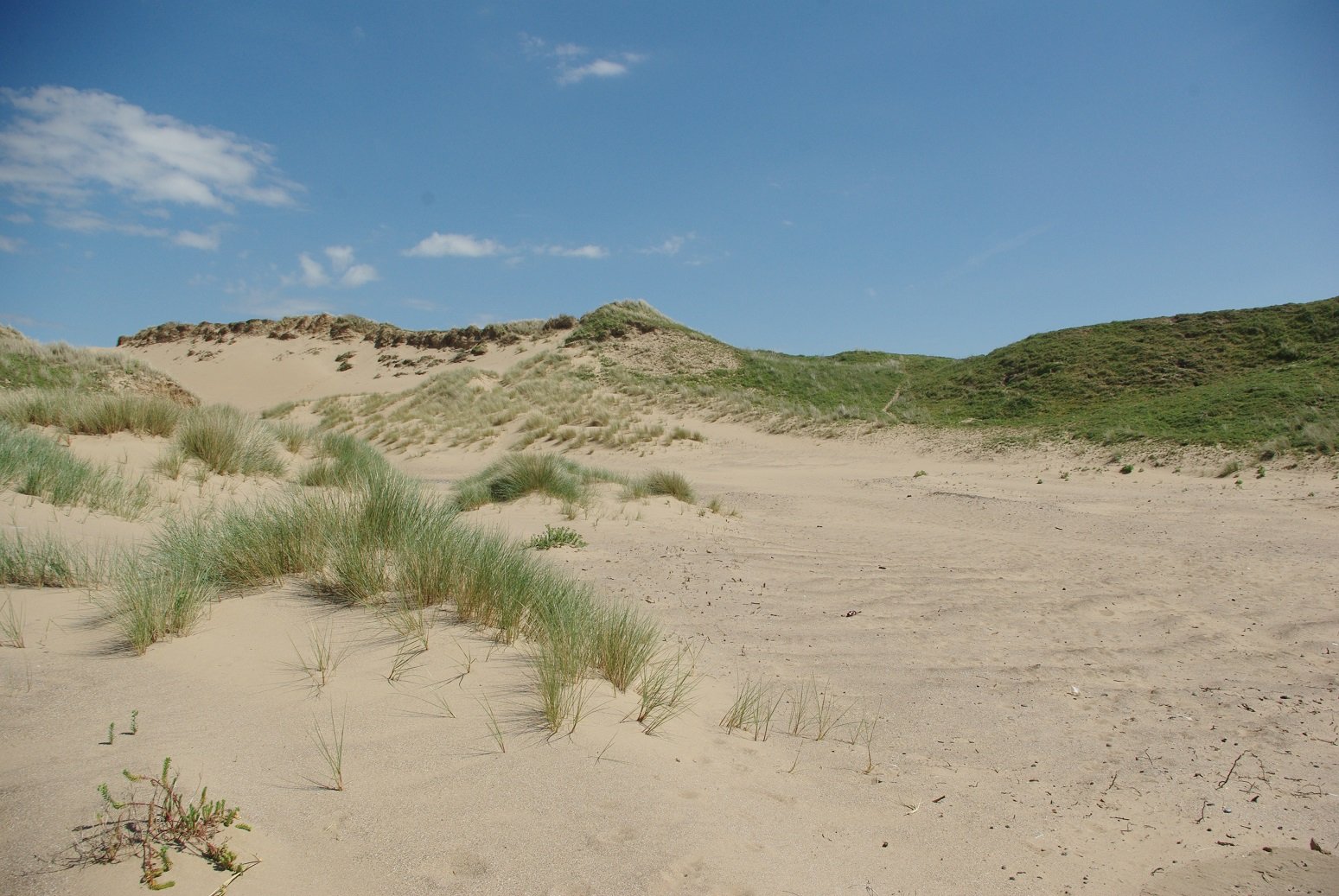 Merthyr Mawr