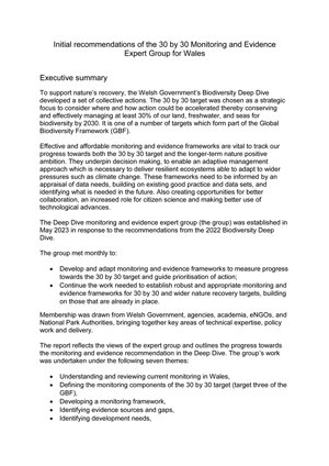 Monitoring-ENG-300