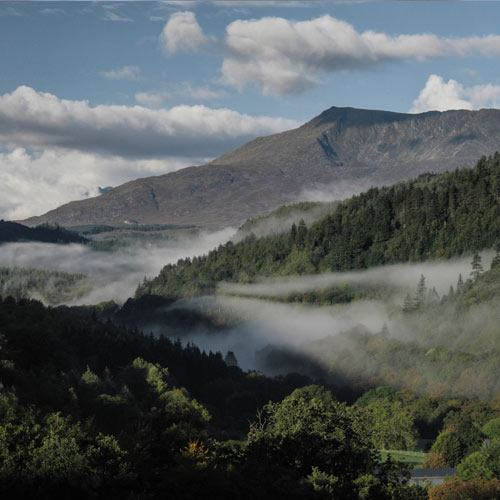 Morning Mist Beneath the Mountain