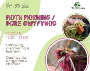 Moth-Morning