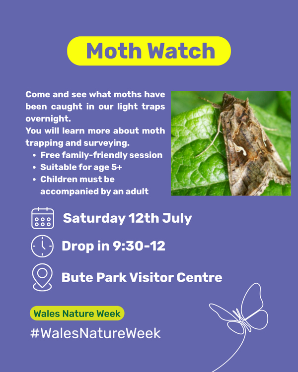 Moth Watch Cardiff 12.07.2025 Eng