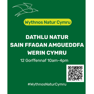 Museum event Cym