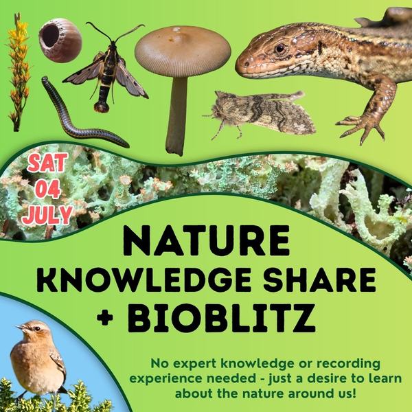 Nature Knowledge Share + Bioblitz
