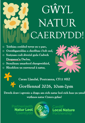 Nature festival Cym
