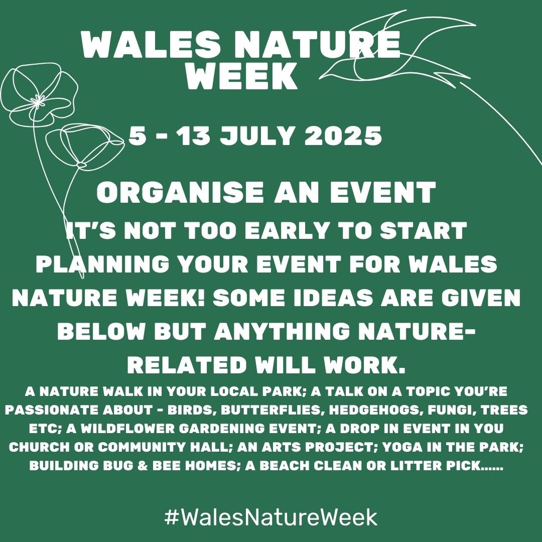 Organise and event. It’s not too early to start planning your event for Wales Nature Week!