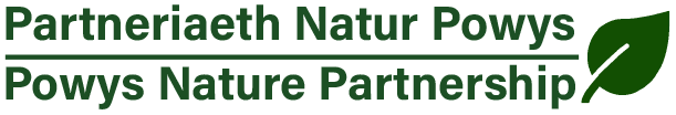 PNP logo