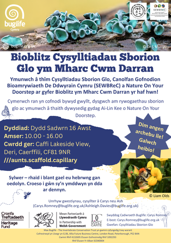 Parc Cwm Darren Bioblitz Cym