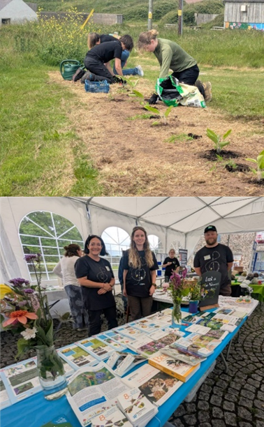 Bioblitz and community work