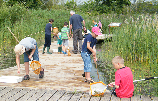 Pond dipping Cosmeston VCC web
