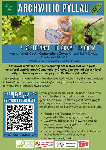 Pond dipping_Cymraeg