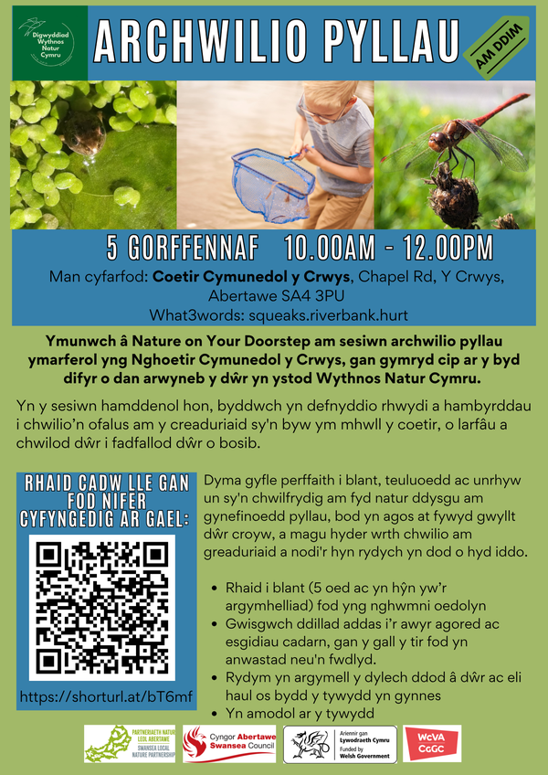Pond dipping_Cymraeg