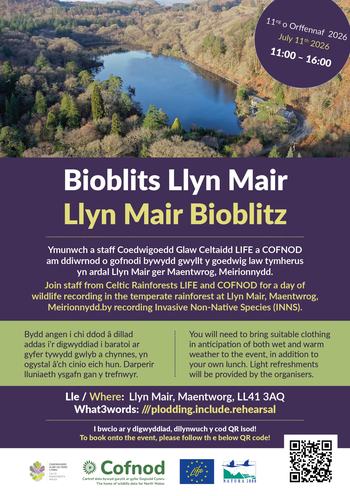 Poster Bioblits Llyn Mair