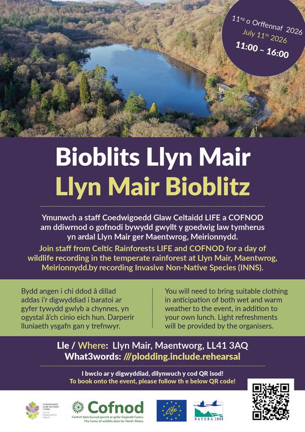 Poster Bioblits Llyn Mair