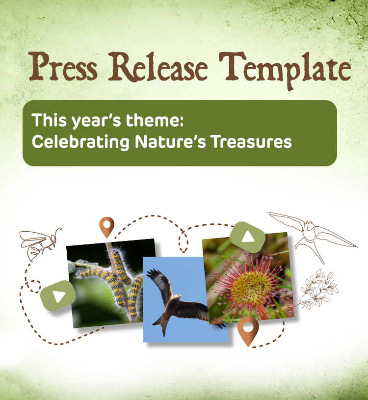 Press-release-template