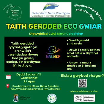 Queer walk Cym