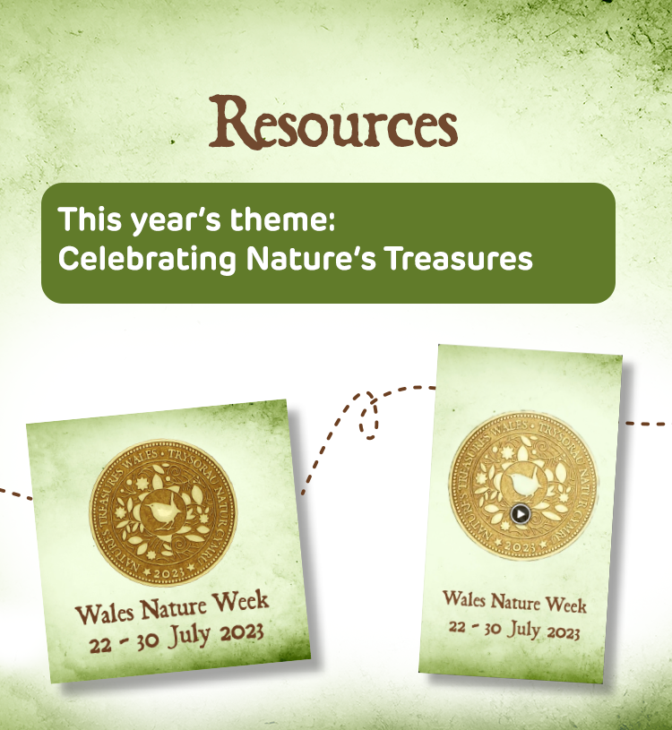Resources-button