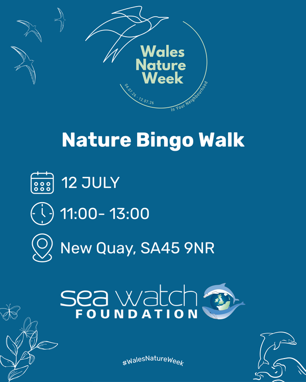 SeaWatch event Eng