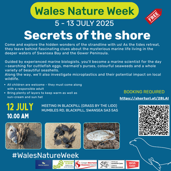 Secrets of the shore