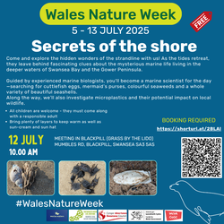 Secrets of the shore