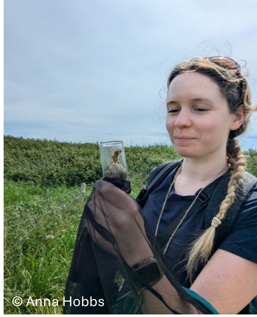 Natur am Byth Trainee