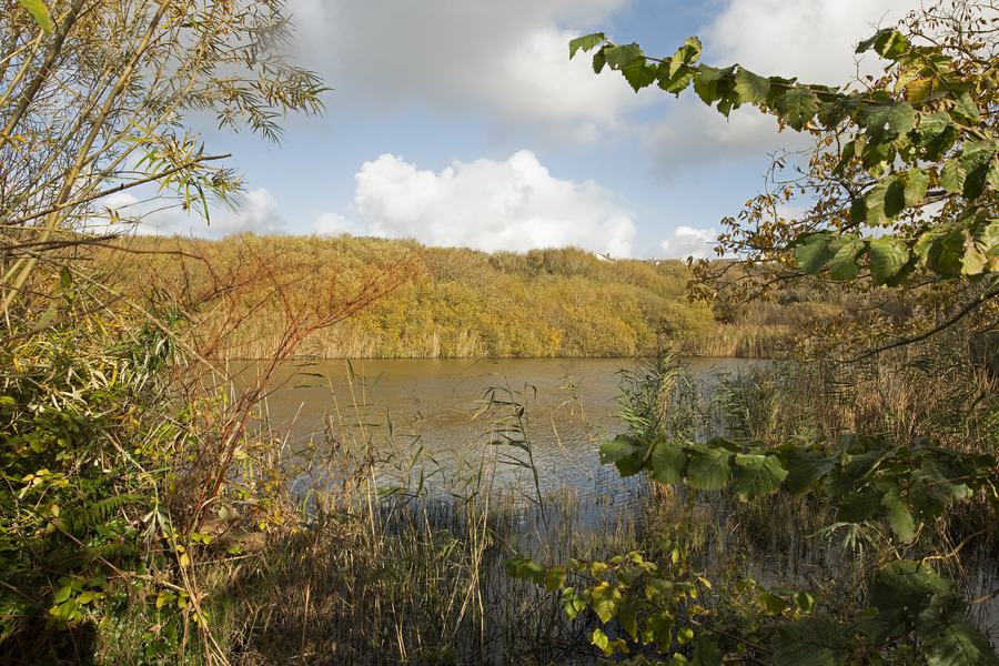 Slash Pond, Broad Haven  6-11-23