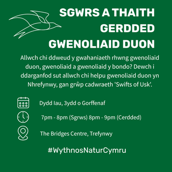 Sgwrs a Thaith Gerdded Gwenoliaid Duon yn Nhrefynwy