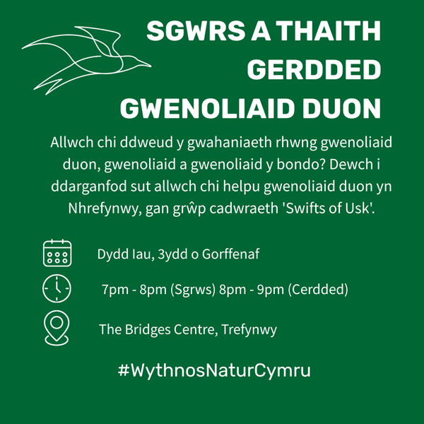 Sgwrs a Thaith Gerdded Gwenoliaid Duon yn Nhrefynwy