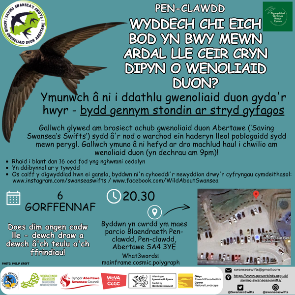 Swift event_Penclawdd_Cymraeg