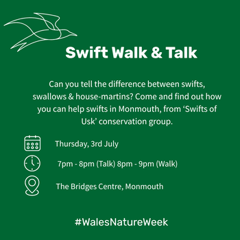 Swift Talk and Walk Monmouth