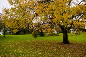 The-Dell-Fairwater-2