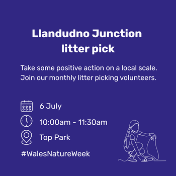 Llandudno Junction litter pick