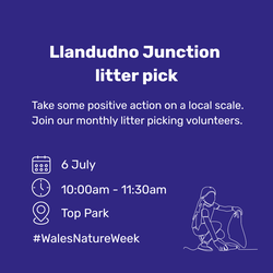 Llandudno Junction litter pick