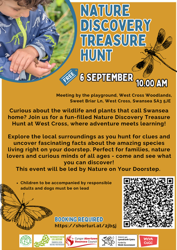 Treasure Hunt Swansea eng