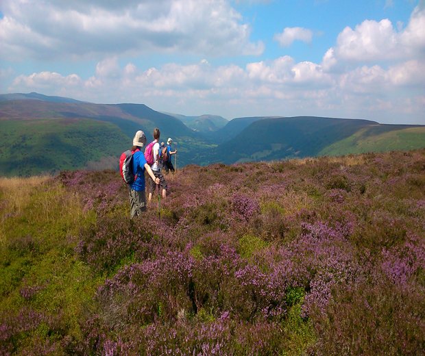 Upland heathland on the Hatterrall Ridge © B.Symons