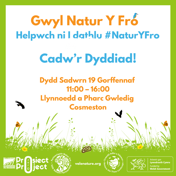 Vale Nature Festival Save the Date Cymraeg