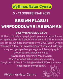 Sesiwn Flasu i Wirfoddolwyr! Aberaman