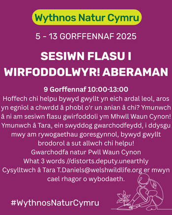 Sesiwn Flasu i Wirfoddolwyr! Aberaman