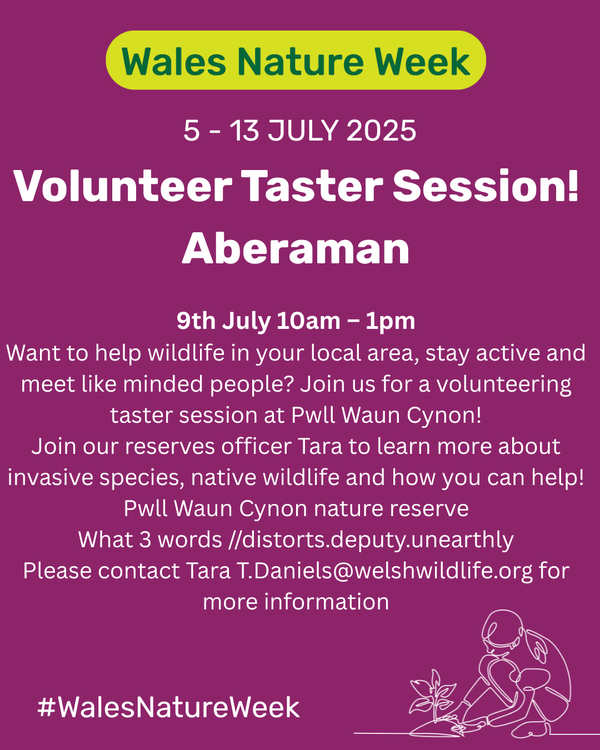 Volunteer Taster Session! Aberman
