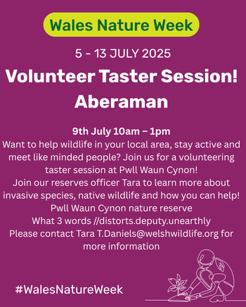 Volunteer Taster Session! Aberman