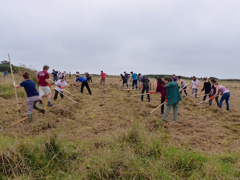 Volunteers managing habitat at Cwm Colhuw (C) Richard Cowie