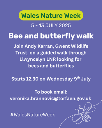 Bee and Butterfly Walk at Llwyncelyn