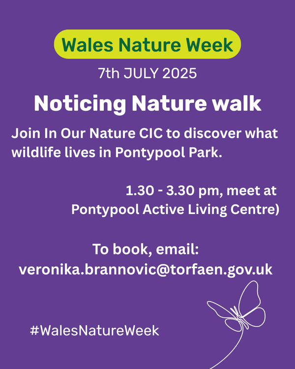 Noticing Nature Walk Pontypool Park