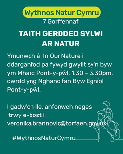Taith Sylwi ar Fyd Natur ym Mharc Pont-y-pŵl