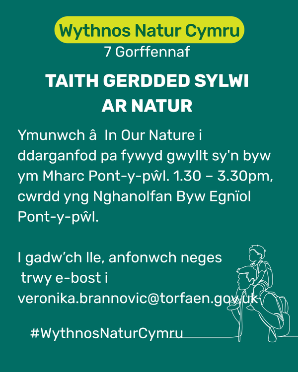 Taith Sylwi ar Fyd Natur ym Mharc Pont-y-pŵl