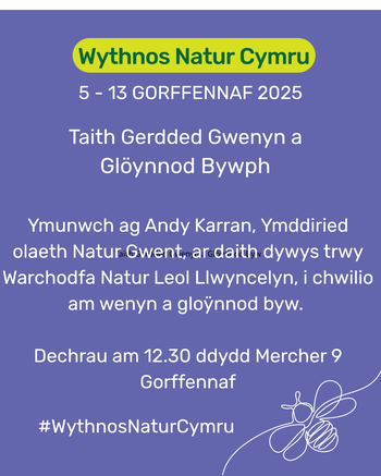 Taith Gwenyn a Gloÿnnod Byw yn Llwyncelyn