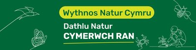 WNW Website Banner 1200x313 welsh