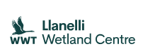 WWWT Llanelli