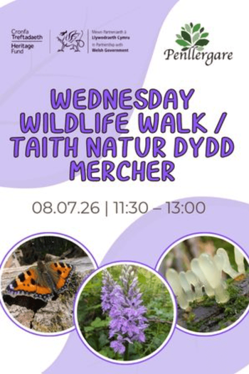 Wed wildlife Walk