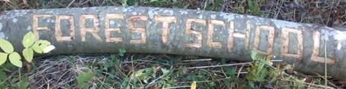 Welcome to Forest School